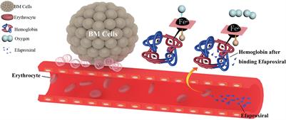 Blood–Brain Barrier, Cell Junctions, and Tumor Microenvironment in Brain Metastases, the Biological Prospects and Dilemma in Therapies